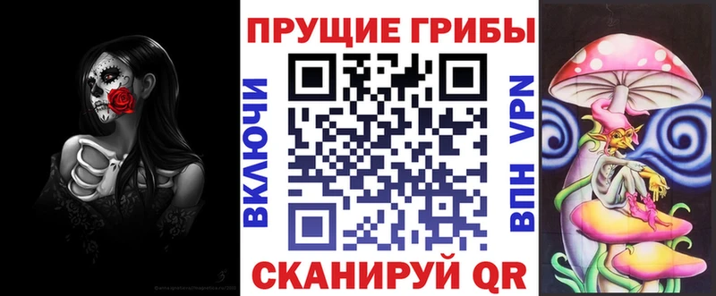 Псилоцибиновые грибы Cubensis  Купить закладки  Чита 